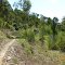 Mundowie Loop Track