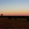 Sunrise over the Barkly Tablelands on the Plenty Hwy