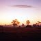 SUNRISE NABIAC.