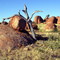 OutbacK sTRanGe RocKs