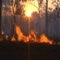 Buschbrand am Carpentaria Hwy