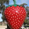 The Big Strawberry