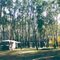 Cobram State Forest: Green Beach