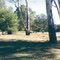 Cobram State Forest: Bretnalls Beach