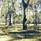 Cobram Regional Park: Toms Beach