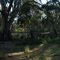 Red Gum Wetland