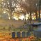 Early morning at Maple Grove Cemetery