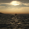 Early morning paddling at Jan Juc