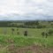 Brimbin