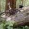 Umpqua Trail - Deer Leap Section