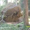 Medicine Creek Rock Shelter
