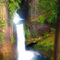 Toketee Falls, Oregon