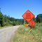 Brake for Turtles....It's the Law!..