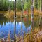 Mountain Pond