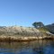Lomgon Island Shot