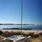 Shelley Beach