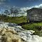 Rostrevor Creek in Flood