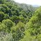 Tasmanian Wildness