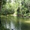 Alligators Nest,Bulgun Creek