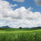 Queensland 1