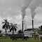 Tully Sugar Mill fires up...........