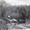 Spring Bluff    ( circa 1920s)