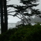 Pacific Coast
