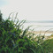 Pacific Ocean, Nehalem Bay State Park