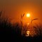 September Sunset on Rockaway Beach, Oregon