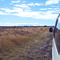 on the Road Gilgandra Coonabarabran