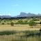 Southern Warrumbungles