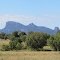 Warrumbungle National Park