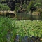 Abandoned  Moorooduc Quarry's Lake.
