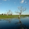 Tooradin flood