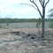 Undara Walking Trail