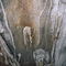 Undara - lava tube ceiling