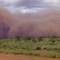 Umuwa dust storm panarama
