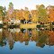 Reflection