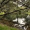 Rocky Creek