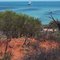 Shark Bay, Useless Loop