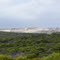 Sandsee waves