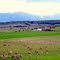 View from Valley Field Rd, across Macquarie river towards Millers Bluff.......314
