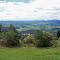 Green Tasmania