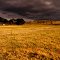 Storm Approaching