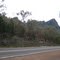view from mt abrupt car park of signal peak