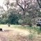 Freswater Lake picnic ground