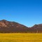Victoria Valley, The Grampians, Victoria,Australia