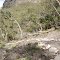 mt abrupt track landslide area from jan 2011 floods
