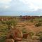 Devil's Marbles