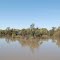 Paroo River, Wanaaring
